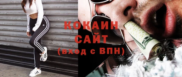 прущие грибы Сосновоборск