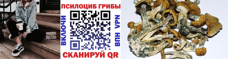 shop телеграм  что такое   Белово  Псилоцибиновые грибы GOLDEN TEACHER  kraken tor 